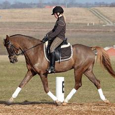 DSP Boccacio:<3 SOLGT :(