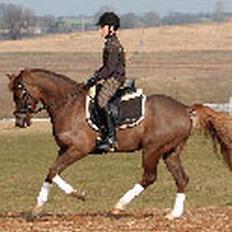 DSP Boccacio:<3 SOLGT :(