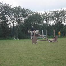 Anden særlig race Irish Delicious(SOLGT) :(