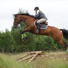 Anden særlig race Nightmare Macohl *RIP*