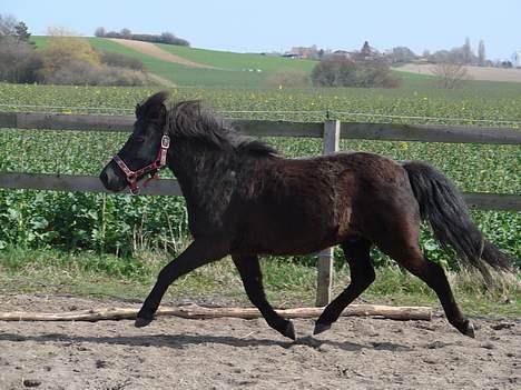 Anden særlig race Tarzan billede 10