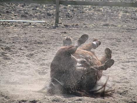 Anden særlig race Tarzan billede 11