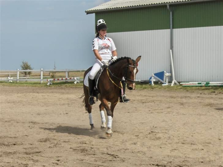 DSP Rosita (solgt) - Nadia og Rosita til kvadrilleopvisning på rideskolen (; billede 15