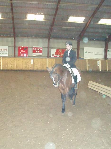 Connemara Cover Girl SOLGT billede 8