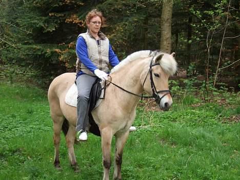 Fjordhest Julie Sejr - mor skridter mig af billede 10