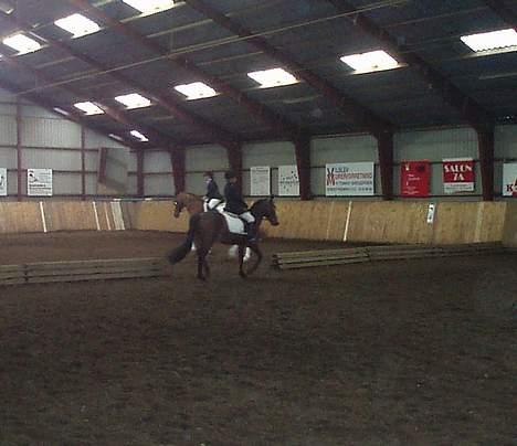 Connemara Cover Girl SOLGT billede 11