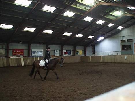 Connemara Cover Girl SOLGT billede 12