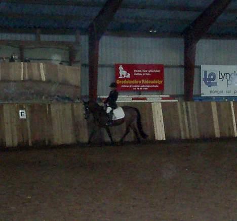 Connemara Cover Girl SOLGT billede 13