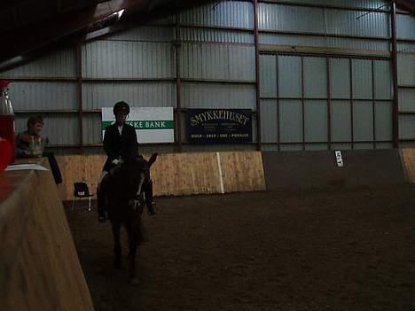 Connemara Cover Girl SOLGT billede 14