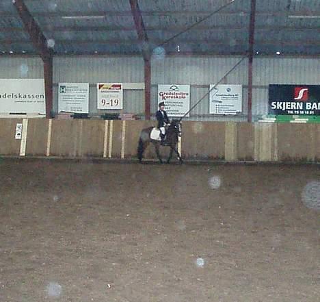 Connemara Cover Girl SOLGT billede 15