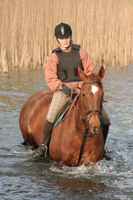 Dansk Varmblod Walou R.I.P. - igennem det meg tdybe vand.. hihi... hun er så sød...  <3<3 billede 12