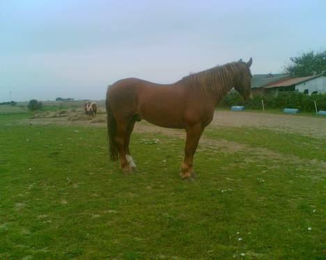 Frederiksborg teico/død billede 1