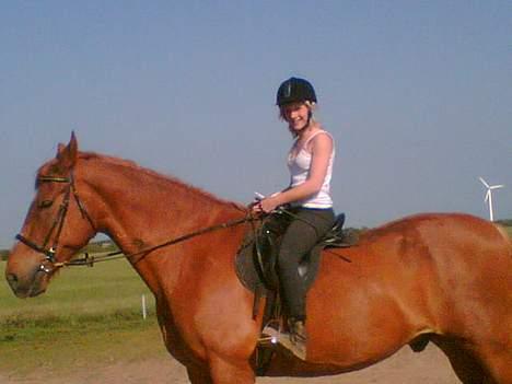 Frederiksborg teico/død billede 2