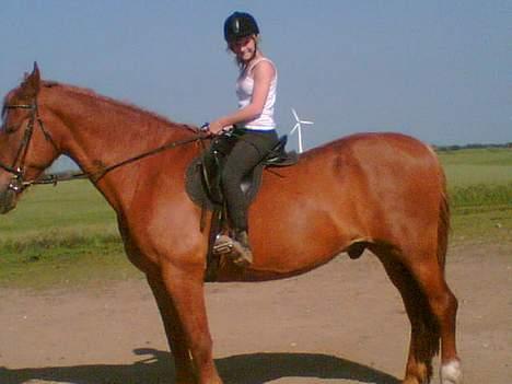 Frederiksborg teico/død billede 3