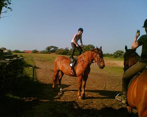 Frederiksborg teico/død billede 5