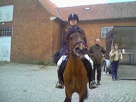 Anden særlig race Lotte R.I.P - lille lotte til spring stæven ;) billede 16