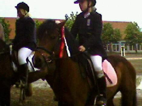 Anden særlig race Lotte R.I.P - Hun vandt jubiii ! billede 18