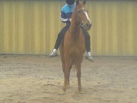 Traver Charmeur ***R.I.P*** billede 10