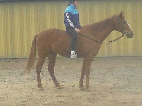 Traver Charmeur ***R.I.P*** billede 12