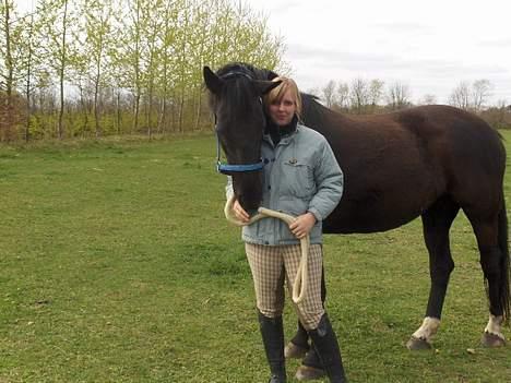 Oldenborg Blackie - Ja hun er en nusse hest.. hehe billede 3