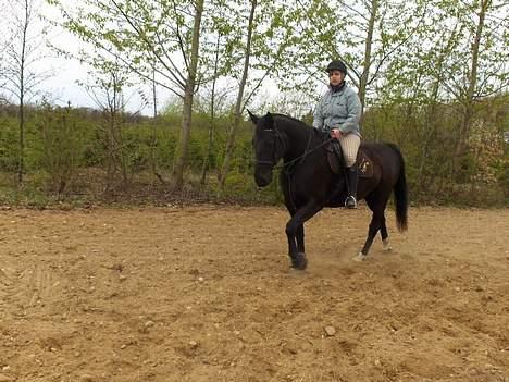 Oldenborg Blackie billede 5