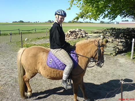 Anden særlig race Rita / Rosa - 29/04-07 Første gang hun har rytter på i MEGET lang tid  :-)  hun var SÅ dygtig  :-)  kig ik på mig kunne ik finde min ridehjelm så måtte bruge en gammel cykel hjelm jeg fandt  ;-) heeh billede 3