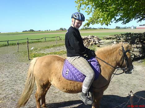 Anden særlig race Rita / Rosa - 29/04-07 Første gang hun har rytter på i MEGET lang tid  :-)  hun var SÅ dygtig  :-)  kig ik på mig kunne ik finde min ridehjelm så måtte bruge en gammel cykel hjelm jeg fandt  ;-) heeh billede 7