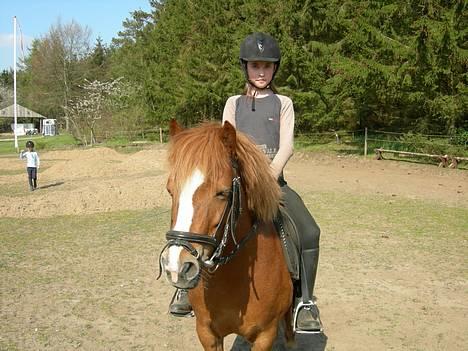 Anden særlig race Molly - Molly og mig!  billede 7