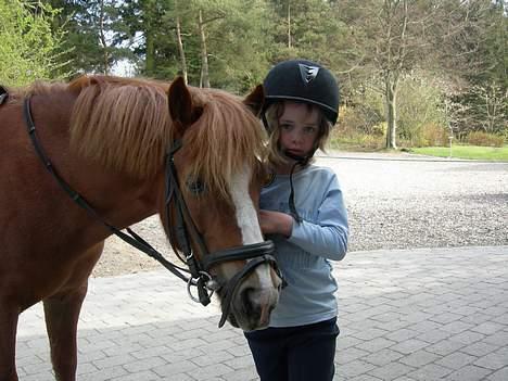 Anden særlig race Molly - Molly er sammen med min søster. billede 11