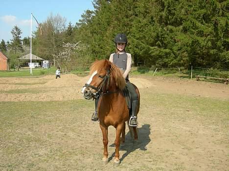 Anden særlig race Molly - Molly undersøger stedet. billede 12