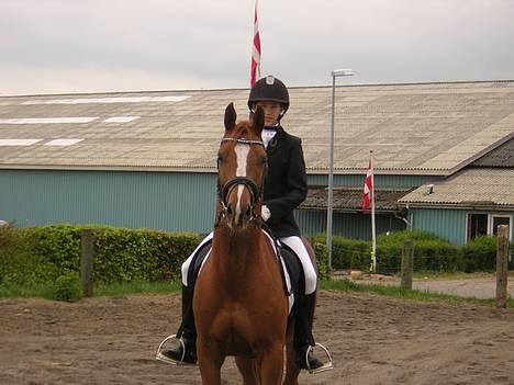 Anden særlig race Totti <3  *SOLGT*  - Totti til hans første stævne.. :) han var bare sød. billede 7