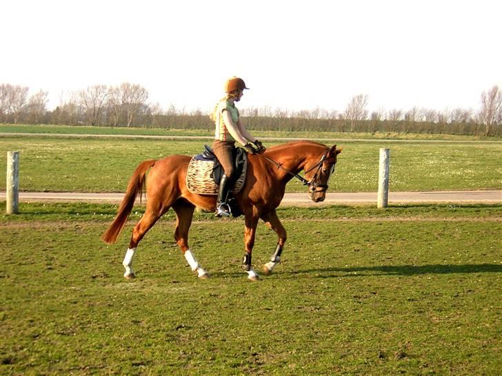 Anden særlig race Totti <3  *SOLGT*  - uhh.. han er da lidt lækker.. :) billede 8