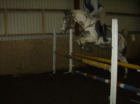 Pinto Mathilde - Uha, stort spring :) Ved godt det er lidt mørkt, men der kommer nyt, når vi kommer ud og springe :) Fotograf: Nanna (gismo) billede 3