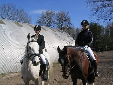 New Forest Shadow - Dressur stævne. nr. 3 i LC2 og 1. uplaceret i første LB1. haha, min spring-dreng<3 billede 17