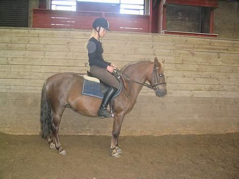 Dartmoor Sille - Parade, Mulle og mig. <3 billede 16