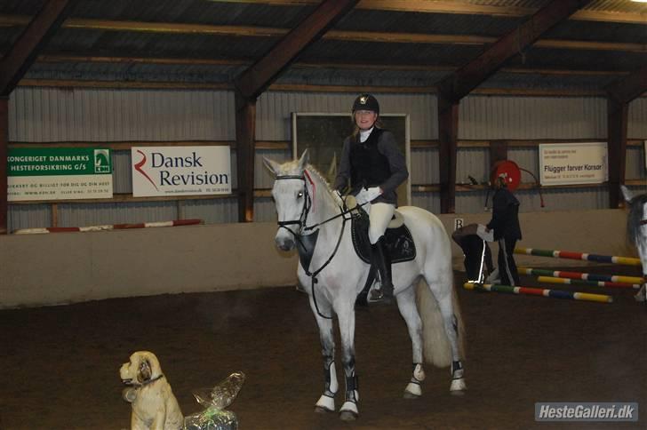 Anden særlig race  Saramia  billede 13