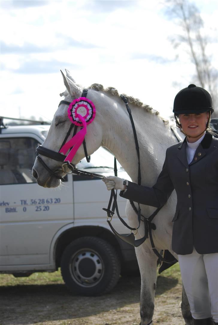 Anden særlig race  Saramia  billede 16