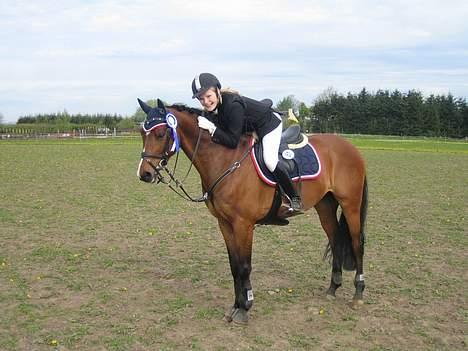 Tysk Sportspony Chemin De Royal  *Solgt - vi blev nr. 2 <33 billede 8