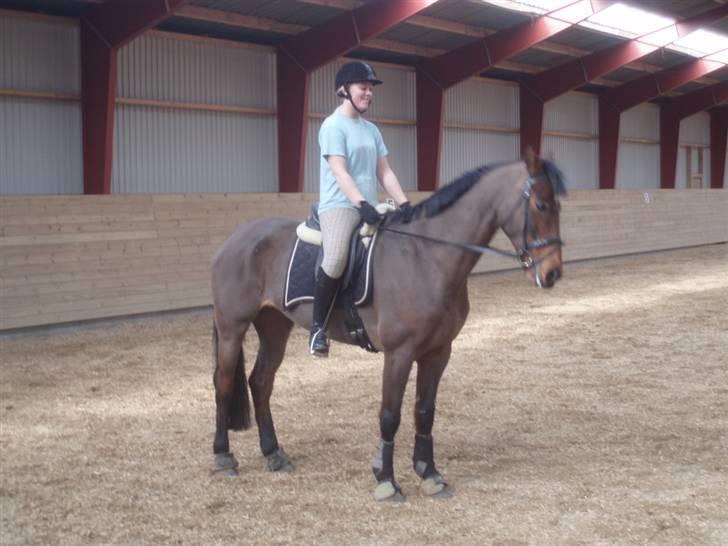 Holstener Lindegaardens Camilla  billede 15