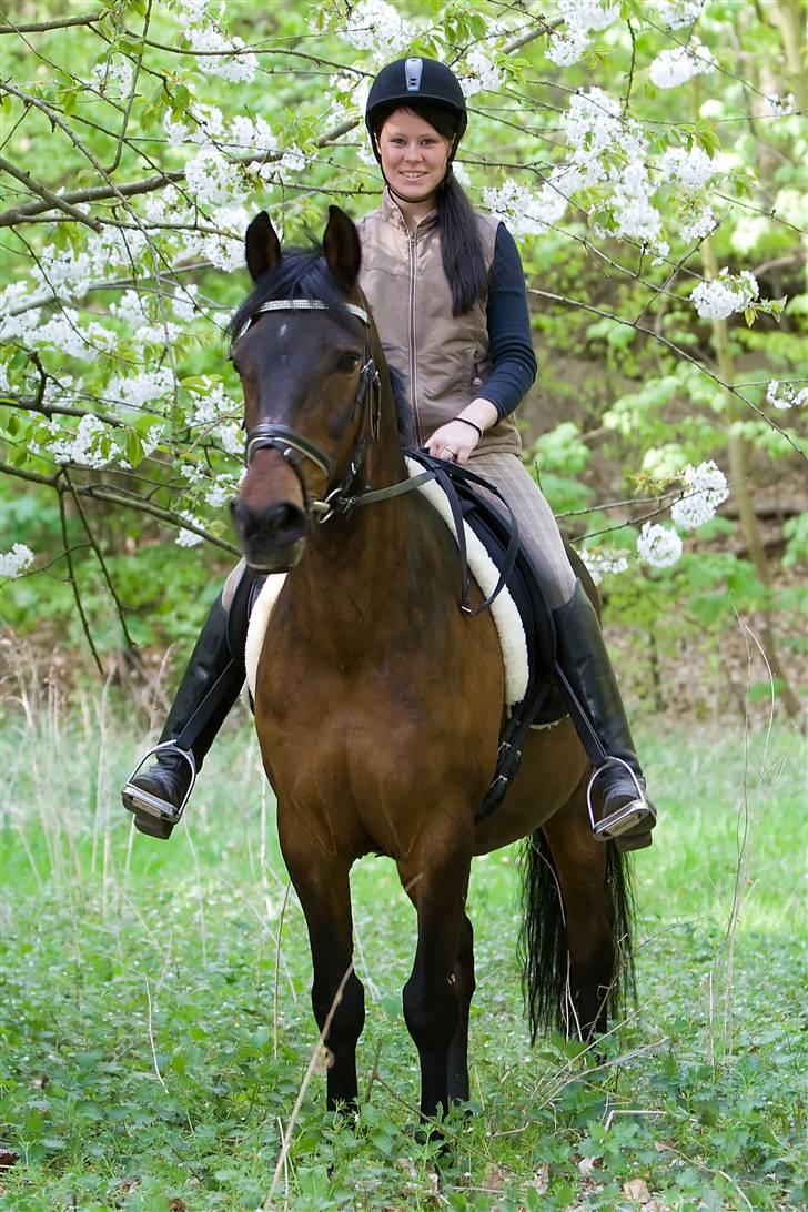 Anden særlig race Kashmir R.I.P - Mindebillede<3 Foto: Hanne Bratholm billede 3