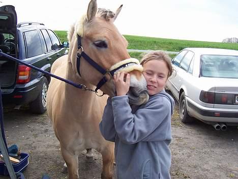 Fjordhest Agnete lundager  - min elskede pony, og en af pigerne fra vores stald, ved traliren i rosenholm,- er de ikke SØDE :D billede 4