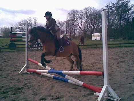Anden særlig race Buster Larsen *SOLGT* - Camilla og Buster tager lige et lille spring (: . billede 1