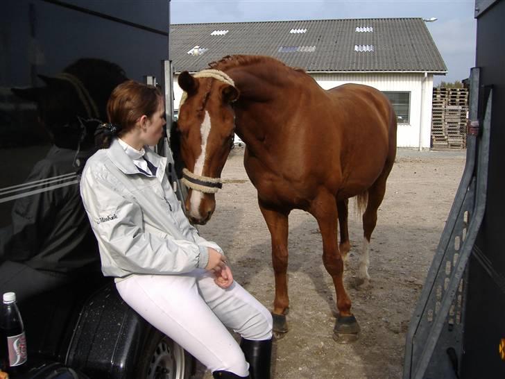 Hollandsk Varmblod OLEANDER - udf. frabedes! - Farsø d. 23. Sep2007. Det skal lige siges at jeg er ved at tygge sanwich! Ole tikker:b [Fotograf: Ellen - mor]  billede 14