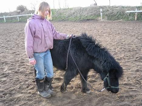 Shetlænder Mathiesen - Mthiesen vi har jo lige lange ben :´) billede 2