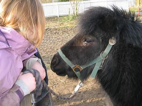 Shetlænder Mathiesen - Os to hva med os to, os to du og jeg ? billede 4