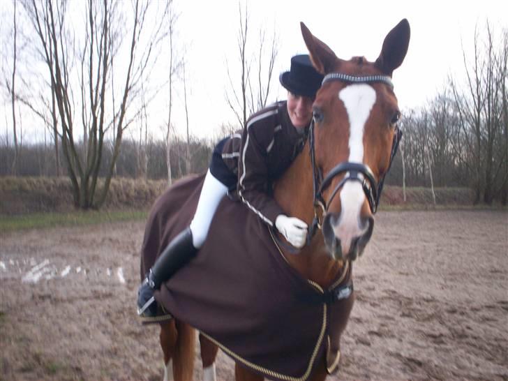 Dansk Varmblod Filur- solgt - Stævne i Vestegnens rideklub .. billede 15