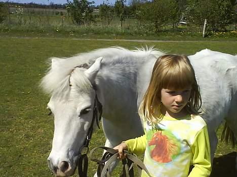 Anden særlig race Mulle billede 11