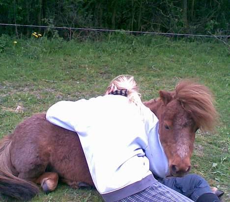 Miniature Bella *SOLGT - D. 29.04.07 Mig og Bella, Putter:D billede 16