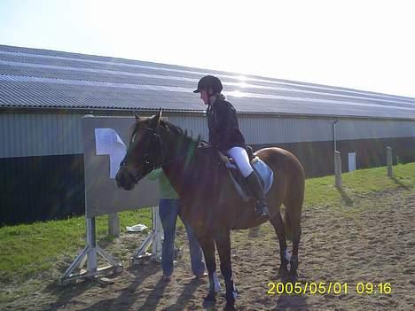 DSP MILAN - igen :) billede 14