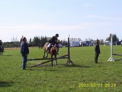 DSP MILAN - Anée i GER :) billede 16